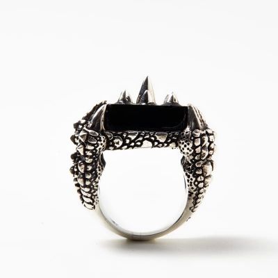 RING S2