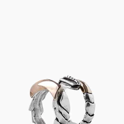 SET RING ROBOSKALE