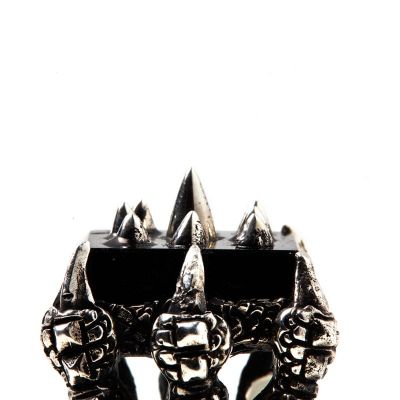 RING S2