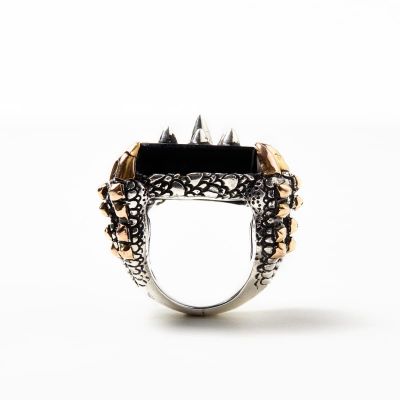 RING S2