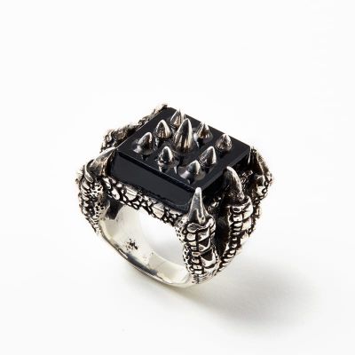 RING S2