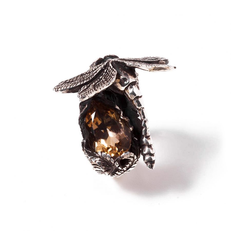 RING DRAGONFLY EVO