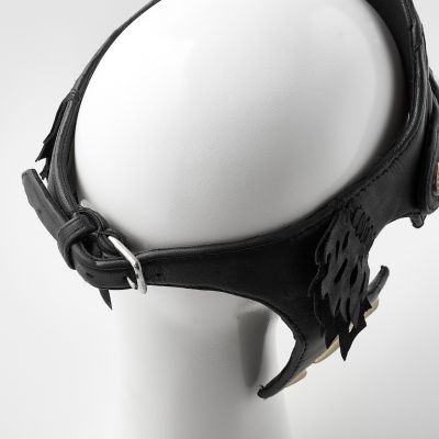 VISOR ARCADIA