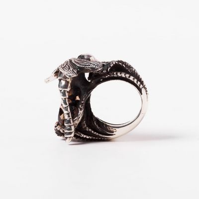 RING DRAGONFLY EVO